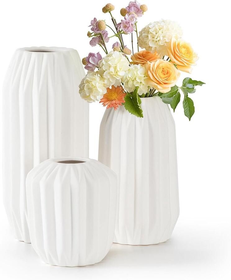 Keramische vaas wit set van 3 moderne esthetische decoratie voor thuis boho minimalistische stijl vazen voor pampasgras verse bloemen voor droogbloemen slaapkamer entree eettafel