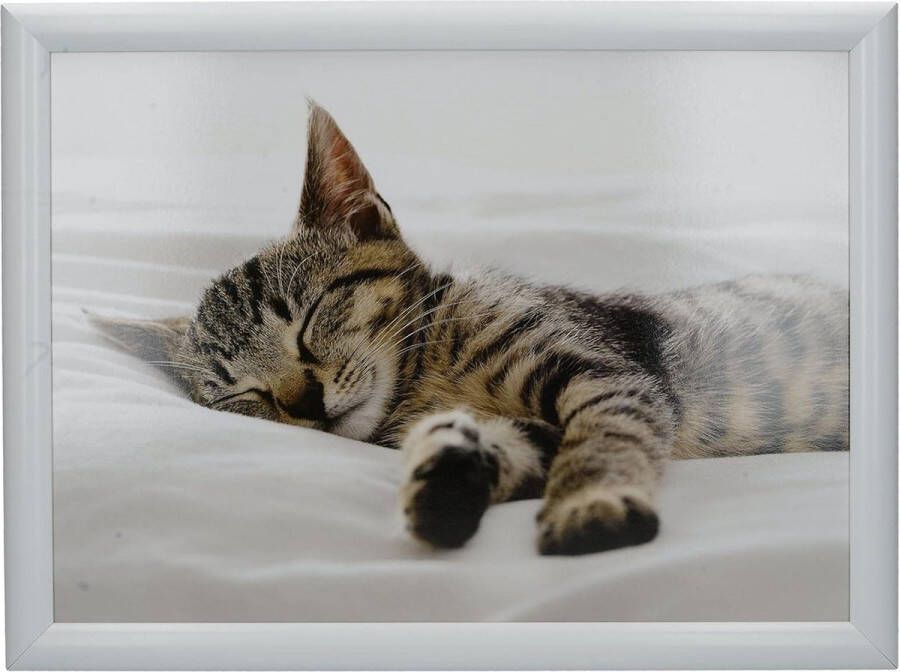 Kitten schootdienblad met kussen beanbag gevoerd 44 x 34 cm meerkleurig