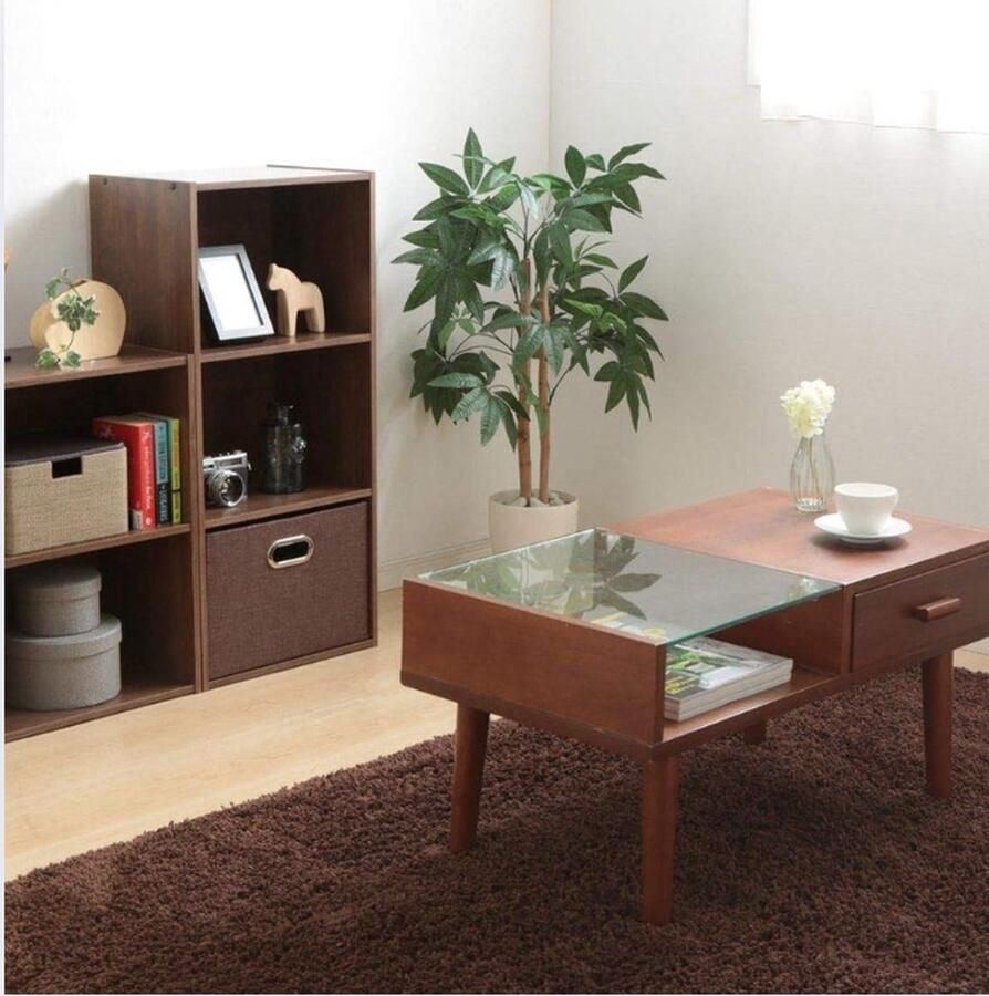 Kledingkast met 3 planken en Houten bak Modulair Design Woonkamer Kantoor Bruin