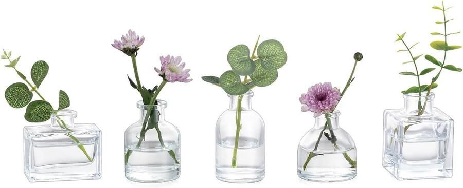 Kleine Glazen Bud Vazen Set van 5 Decoratieve Vazen voor Bloemen en Planten Ideaal voor Tafel Decoraties Bruiloften en Feestjes