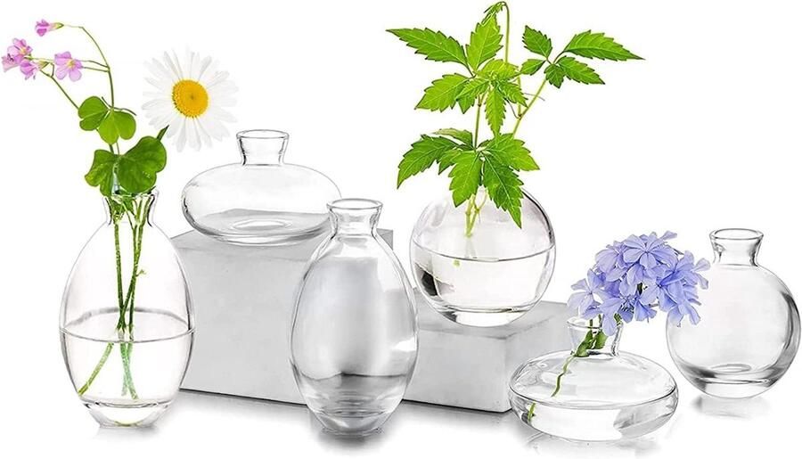 Kleine glazen vaas voor bloemen 6 stuks tafel decoratie bruiloft decoratie esthetische woonkamer bloemenvaas set
