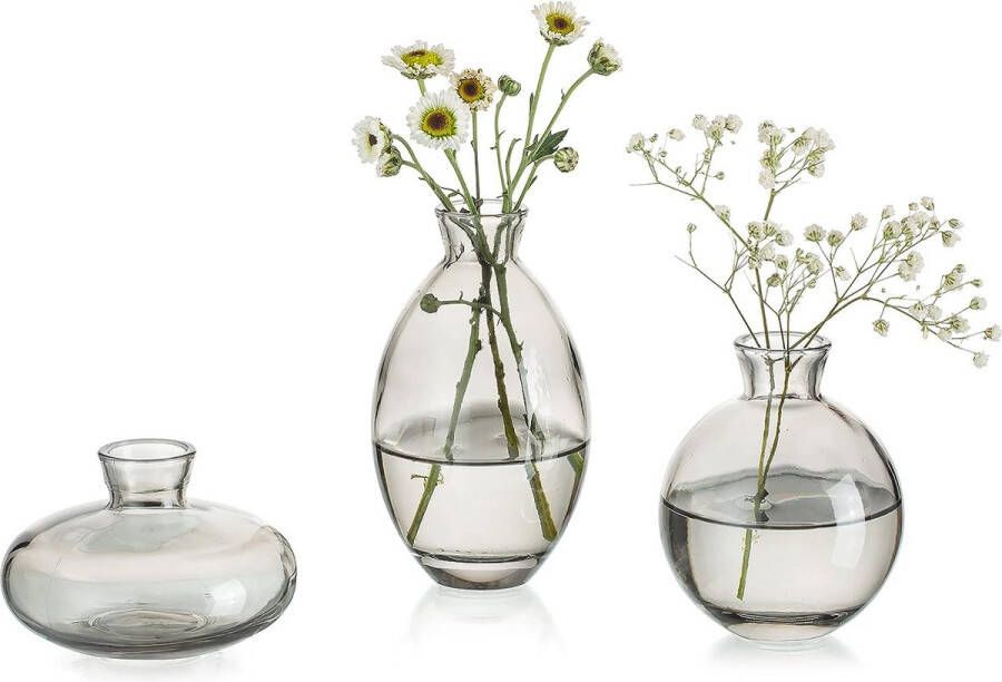 Kleine vazen voor tafeldecoratie vintage handgemaakt 3-delige mini-vaas glas grijs bloemenvaas moderne set verschillende maten slanke hydrocultuur glazen vaas voor bloemen decoratie bruiloft tafel woonkamer salontafel