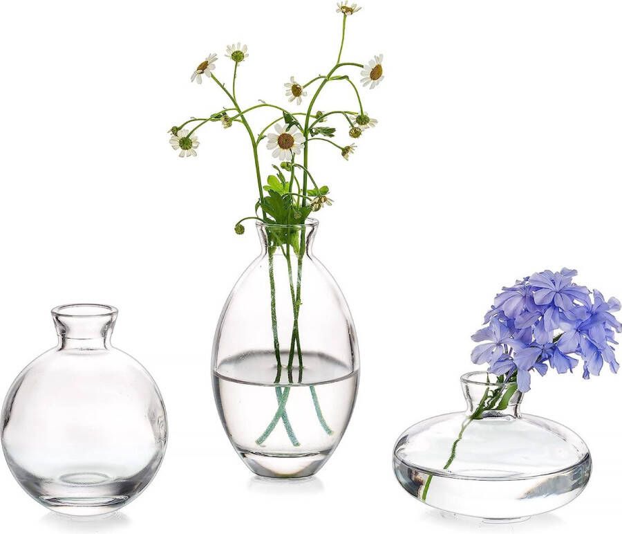 Kleine vazen voor tafeldecoratie vintage handgemaakt 3 stuks set helder mini-vaas glas bloemenvaas moderne set verschillende maten slanke hydrocultuur glazen vaas voor bloemen decoratie bruiloft tafel woonkamer