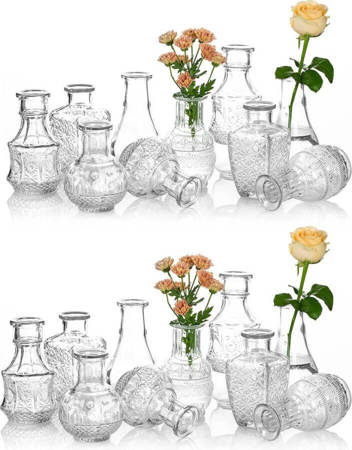 Kleine vintage glazen bloemenvaas: Mini Bud Sweet Erwten Vaas Set van 20 Kristalhelder Rustiek Voor Woonkamer Eettafel Bruiloft Centrum Binnenshuis Slaapkamer Decoratie