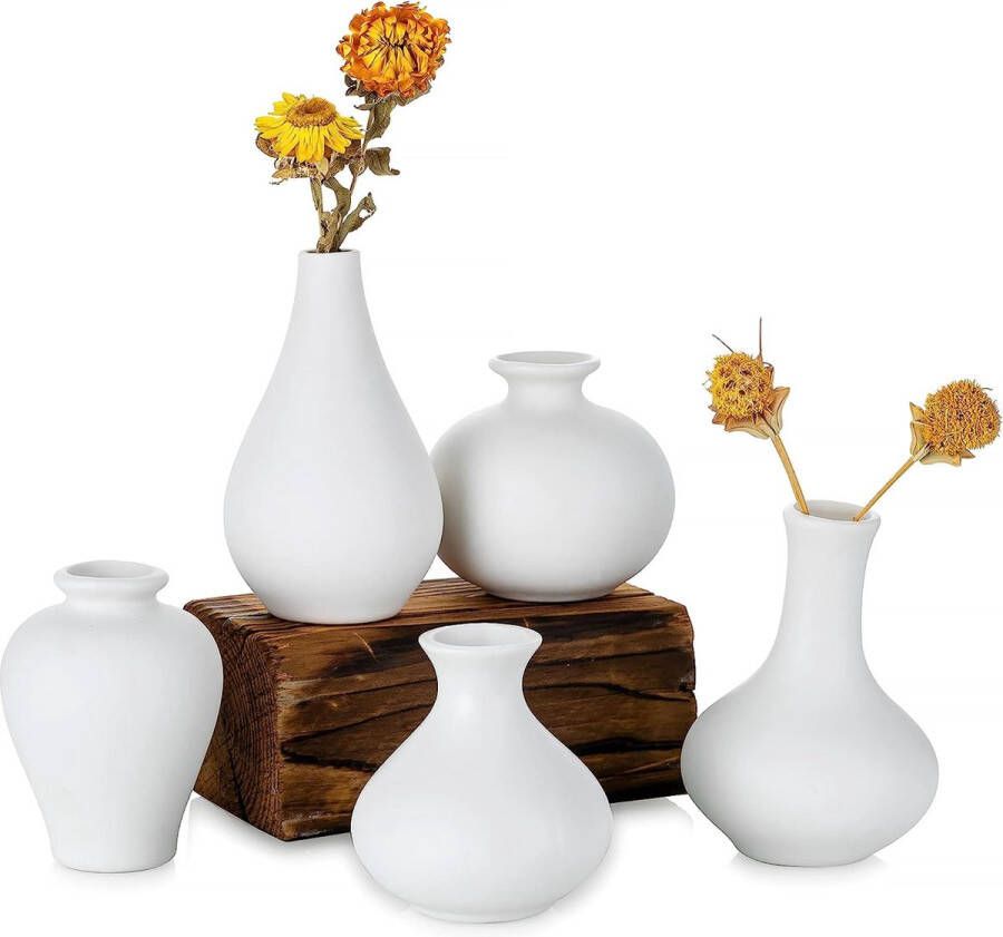 Kleine witte keramische vazen 5-delige set mini-handgemaakte keramische vazen voor bloemen pampasgras moderne bloemenvaas decoratie voor woonkamer keuken kantoor keuken en tafel