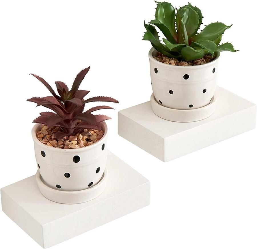 Kleine Zwevende Planken Hout 2 stuks Wit Eiken Houten Mini Wandplank voor Decoratieplant Kleine Displayplank voor Woonkamer Slaapkamer Badkamer Wandrek