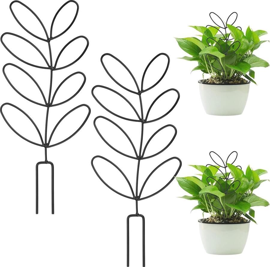 Klimhulp voor kamerplanten 2 stuks metaal plantensteun en rankrooster voor binnen en buiten