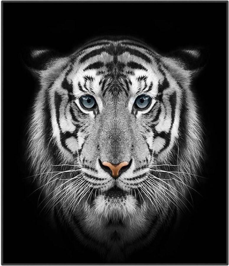 Knuffeldeken 150x200 pluizige deken cadeaus voor jongens tijger sherpa deken dubbelzijdige deken dikke bankdeken microvezel banksprei sprei voor bed bank