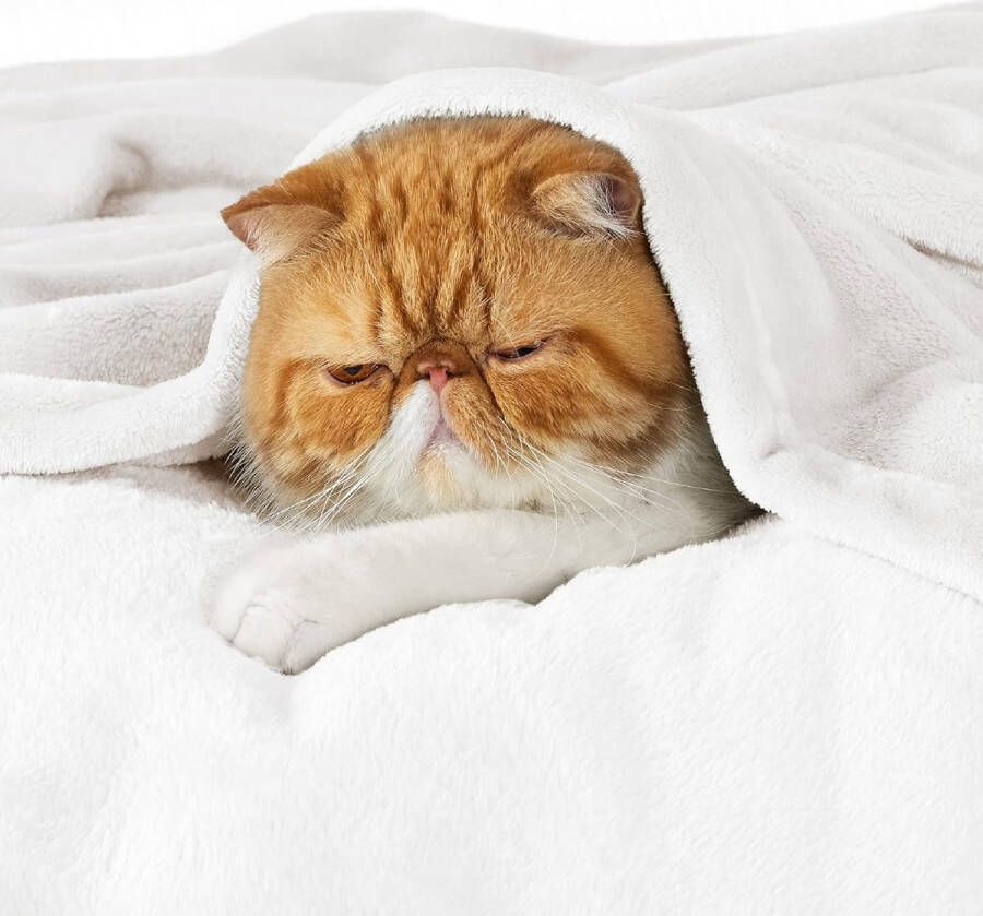 Knuffeldeken fleecedeken woondeken warm winter zacht bankdeken klein deken bank deken knuffeldeken voor kinderen woon- en knuffeldeken 130 x 170 cm bankdeken wit