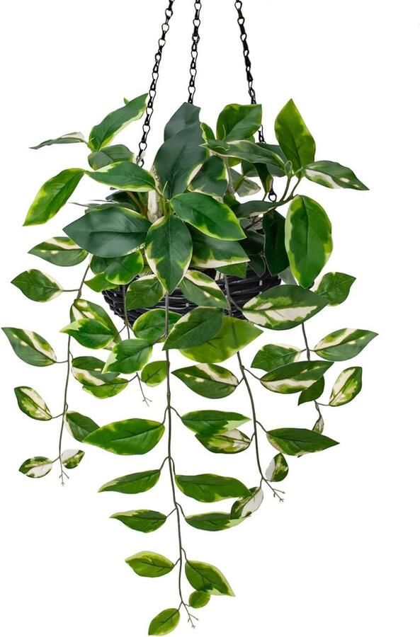 Kunstmatige hangende planten nep hangende planten met potten faux gouden Pothos N ' Joy potplanten opknoping wandplanten met mand pot voor wandplanken slaapkamer badkamer binnen buiten