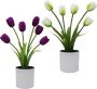 Kunstplant 2 kunstplanten kleine planten in potten bureaudecoratie planten voor kantoor bureau huis keuken tuin tafel en badkamer - Thumbnail 2