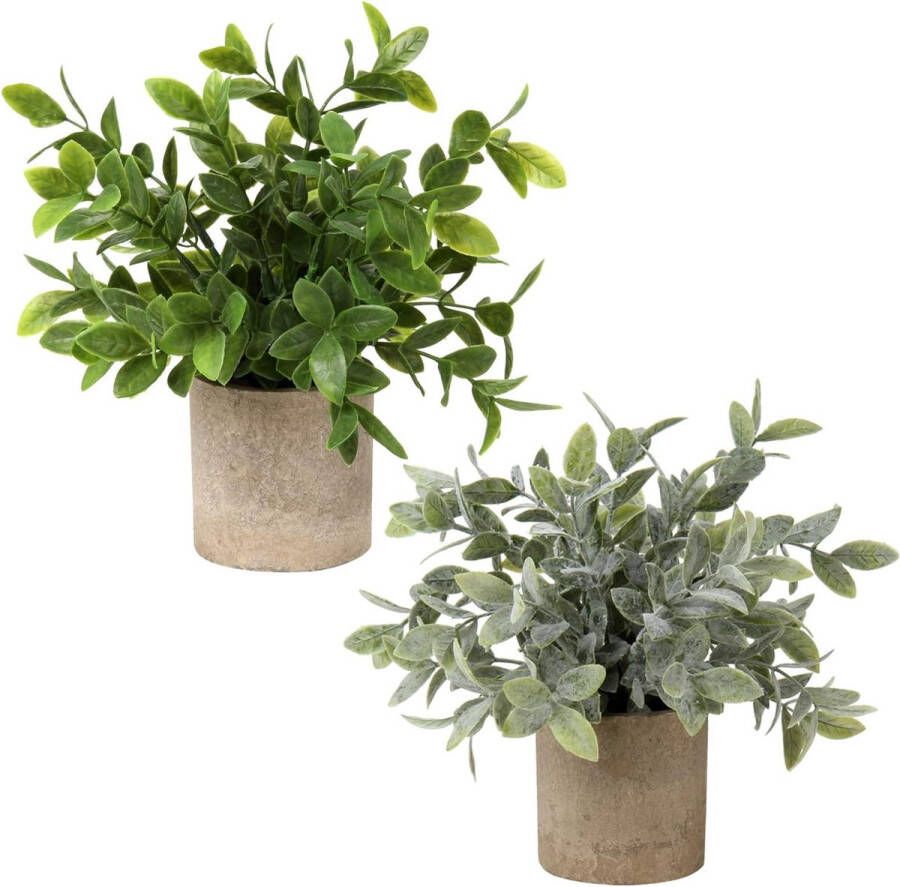 Kunstplant mini kunstmatige plant eucalyptus rozemarijn kruiden in pot decoratie badkamer bureau keuken tuin decoratie set van 2