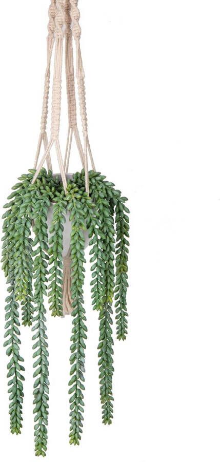 Kunstplanten hangplant kunstplant als echte kamer muur esthetische decoratieve planten in hanglampen