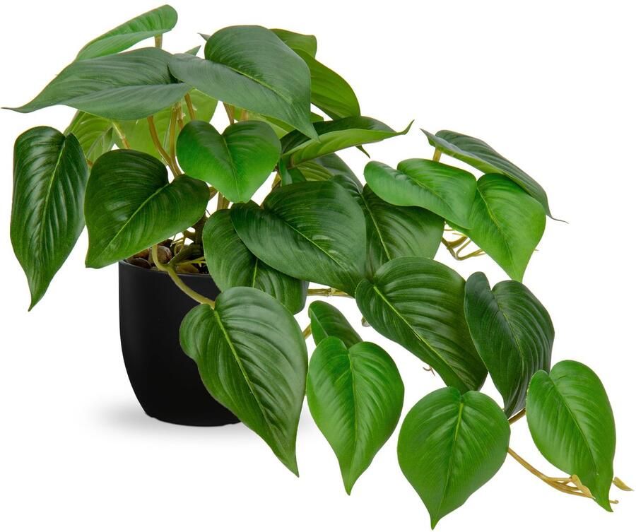 Kunstplanten van Hollyone in zwarte potten decoratieve kunstplanten van Jade Pothos in zwarte potten net als echte kunstplanten voor thuis op tafel op kantoor en op het bureau