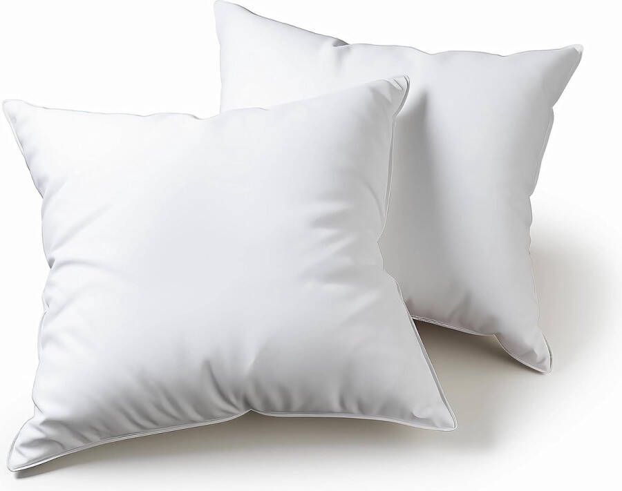 Kussen 45 x 45 cm set van 2 sierkussens voor bed en bank binnenkussen hypoallergeen zacht sierkussen met kussensloop katoen en polyester afneembaar en wasmachinebestendig