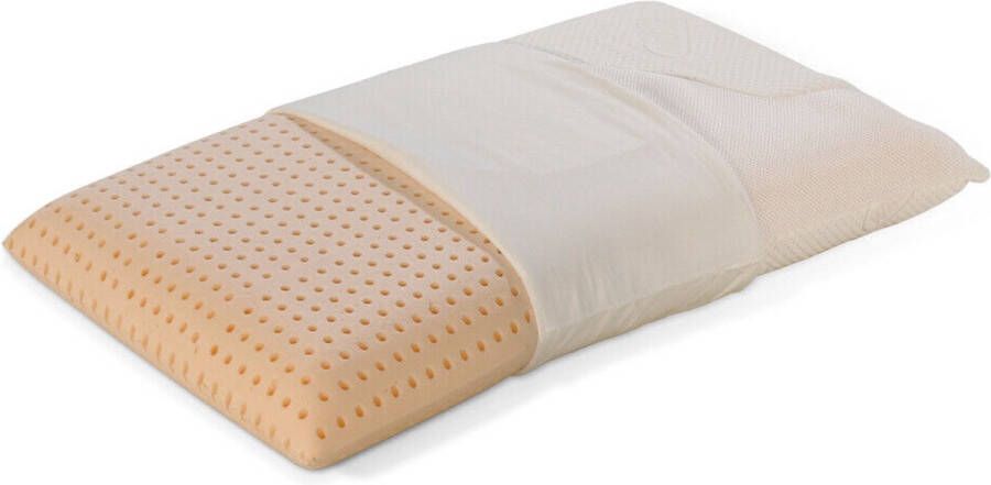 Kussen van traagschuim 40 x 70 cm hoogte 12 cm wasbaar zeer hygiënisch mijtdicht afneembaar hoofdkussen ideaal voor alle bedden en matrassen