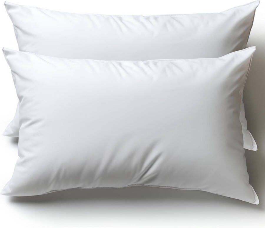 Kussen voor bed 50 x 80 cm hoofdkussen set van 2 binnenkussens hypoallergeen anti-mijt zachte kussenvulling met kussensloop microvezel afneembaar en wasbaar slaapkussen voor huis hotel