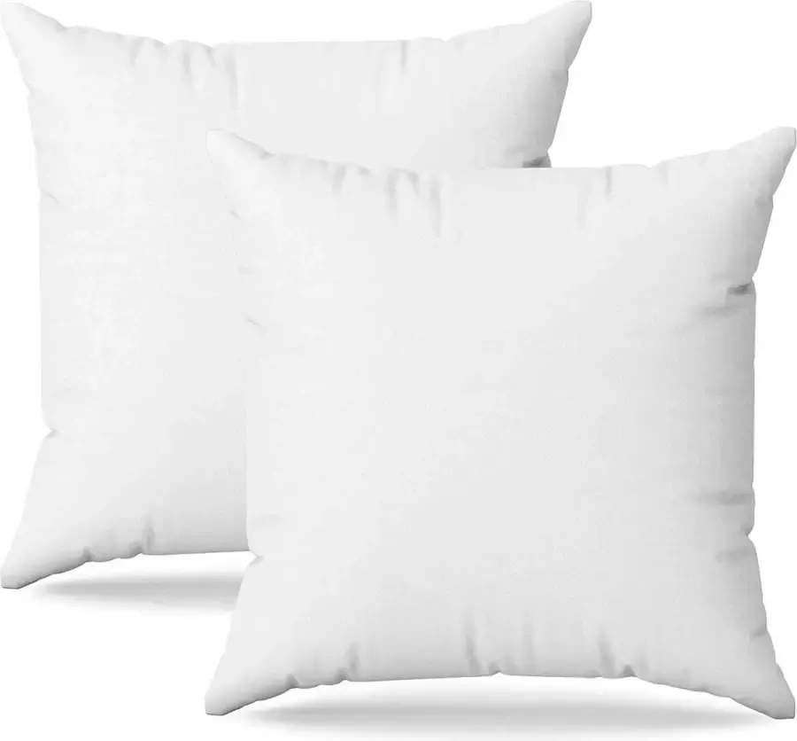 Flowen Kussen voor bed 65 x 65 cm Hoofdkussen Set van 2 binnenkussens hypoallergeen anti-mijt zachte kussenvulling met kussensloop katoen en polyester. Afneembaar en wasbaar slaapkussen voor in huis hotel