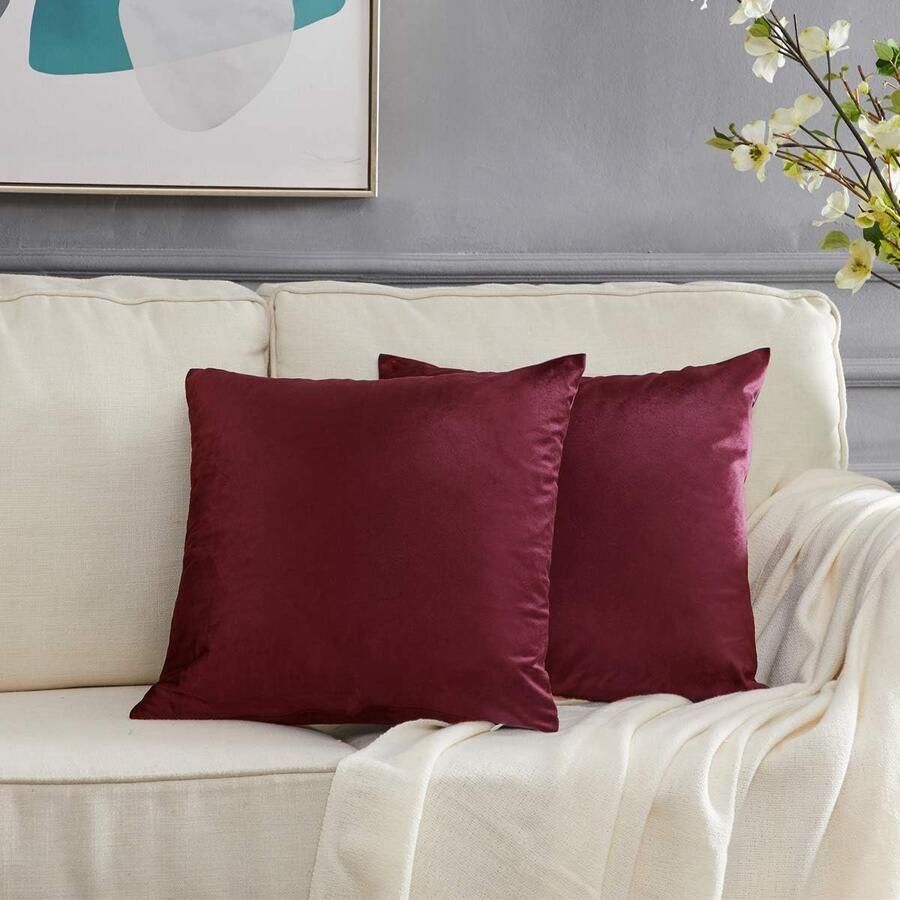Kussenhoezen kussenhoes set van 2 fluwelen decoratieve sierkussenhoezen kussensloop voor bank slaapkamer en auto