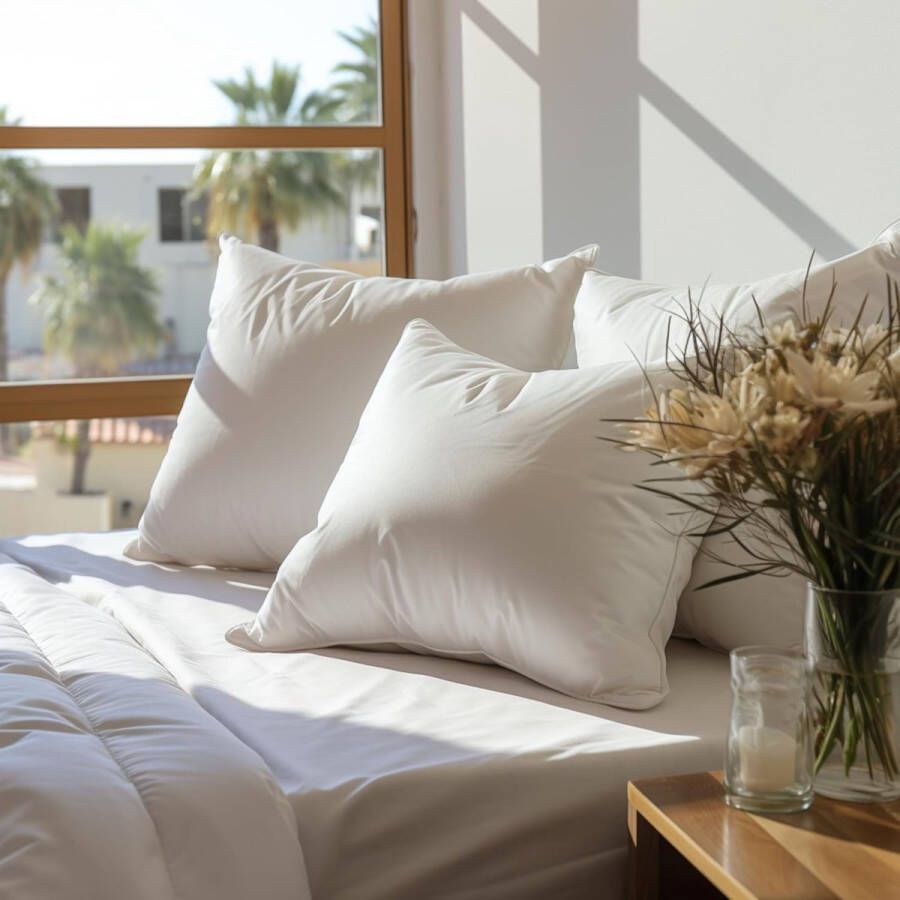 Kussens 50 x 50 cm set van 2 sierkussens voor bed en bank binnenkussen hypoallergene bankkussens anti-mijt zacht sierkussen met kussensloop katoen en polyester afneembaar en