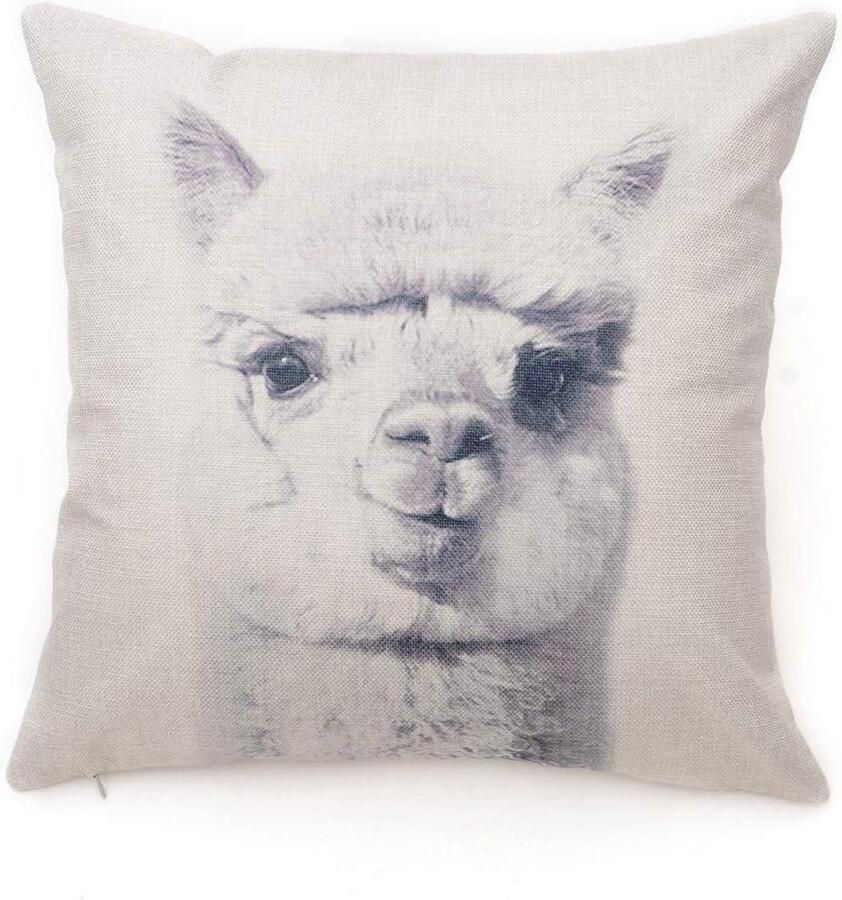 Kussensloop Katoen Linnen Dieren Patroon Decoratie Thuis Auto Bank Set van 2