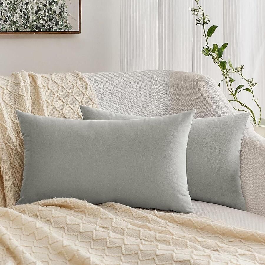 Kussensloop set van 2 grijs 40 x 60 cm fluwelen kussenslopen bank- en sierkussen decoratie voor bed en bank woonkamer en slaapkamer zachte kussenovertrekken met nekkussen comfortabele accessoires met luxe uitstraling