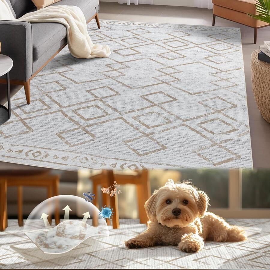 Ibenzoa Stijlvolle Wasbare Deurmat voor Binnen en Buiten met Antislip en Geometrisch Design