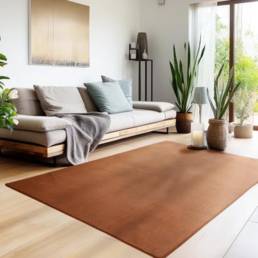 Laagpolig Tapijt voor Woonkamer en Slaapkamer 160 x 230 cm Wasbaar en Antislip Modern en Extra Zacht