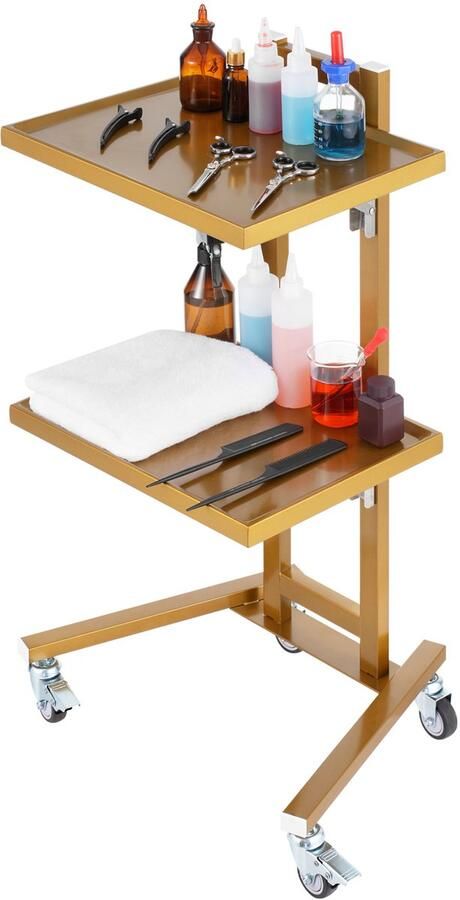 Laboratorium Trolley Maximaal 25 kg Draagvermogen 39.5 x 48 x 85 cm Roestvrij Staal Met 4 Stille Wielen (2 Met Rem) Voor Laboratorium Kliniek Ziekenhuis Salon