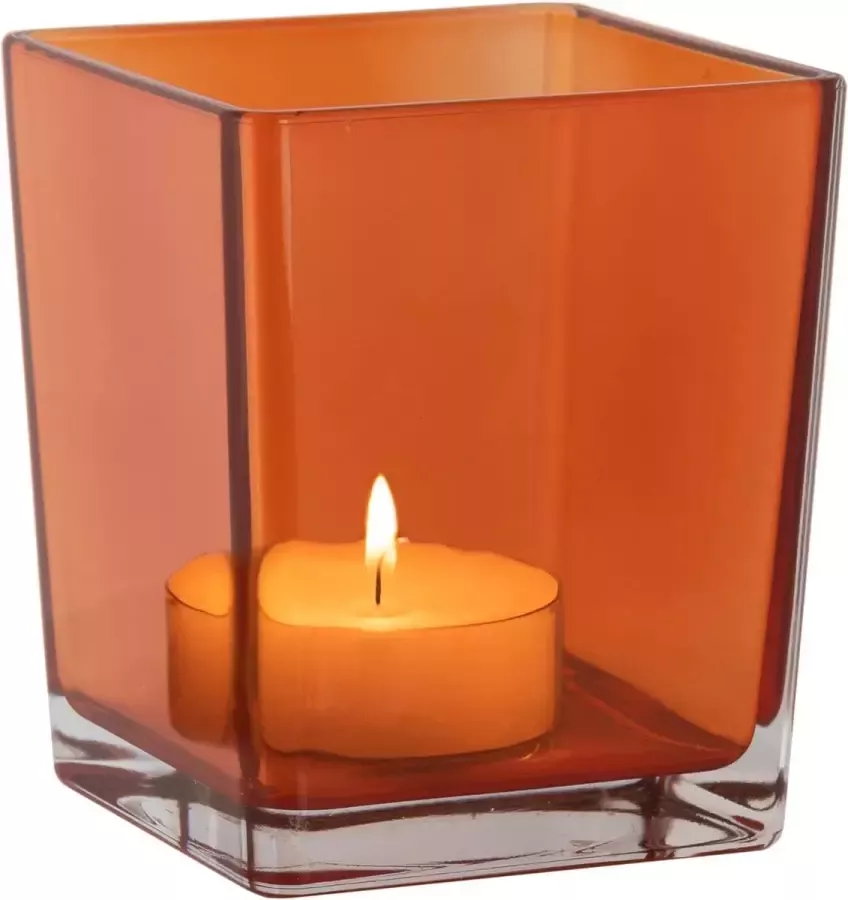Las Decoratieve Container Indoor Decor Tafel Boeket Vaas DIY Bos in Glas Decoratieve Plant Terrarium Huis Tuin Container voor Bloemen Collectie Violet 820 ml