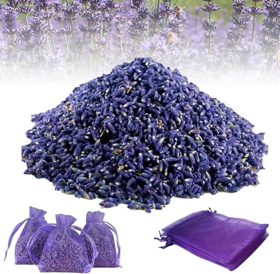 Allecto Plus Lavendelzakjes 180g (12 stuks) voor mottenbescherming en frisse geur in kledingkast Gedroogde lavendelbloemen Thuisgebruik