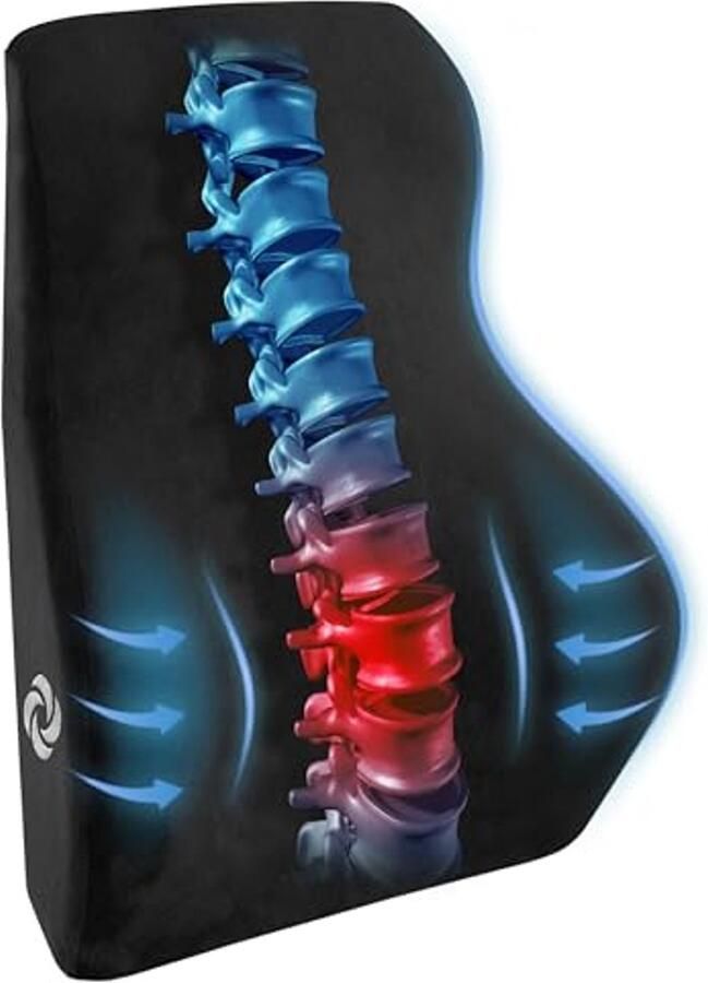Lendenkussen voor Bureaustoel en Auto Hoogwaardig Memory Foam voor Rugondersteuning