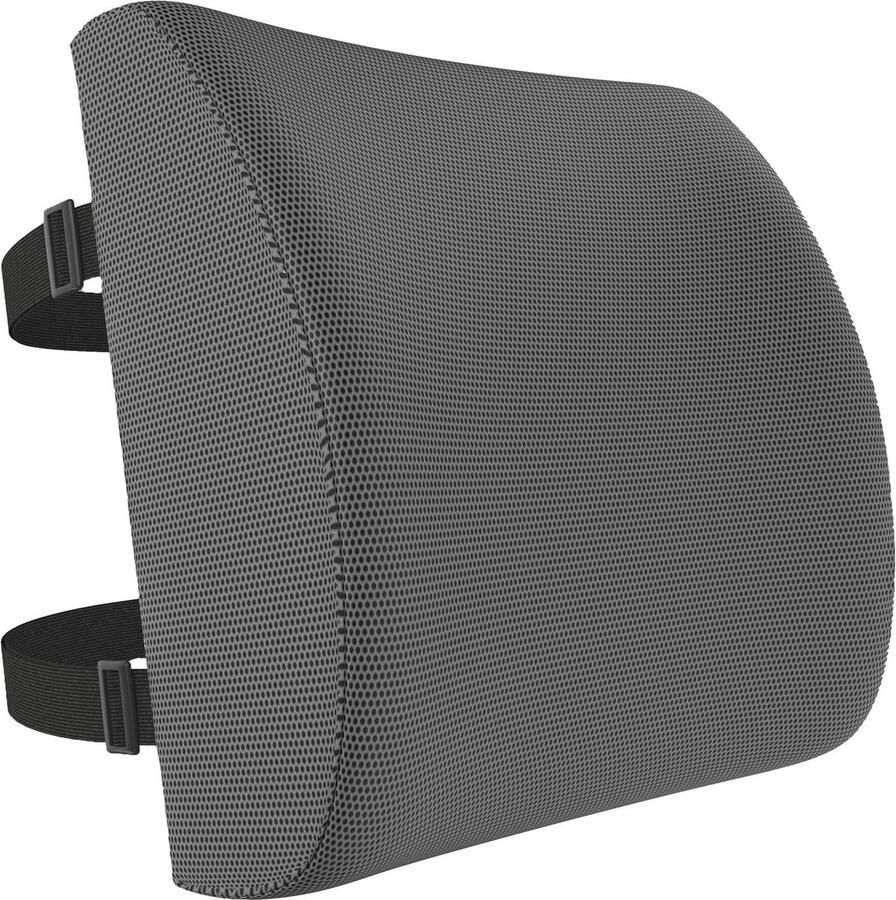 Lendensteunkussen voor bureaustoel en autostoel Ergonomische rugsteun met memory foam ademende hoes en verstelbare bandjes