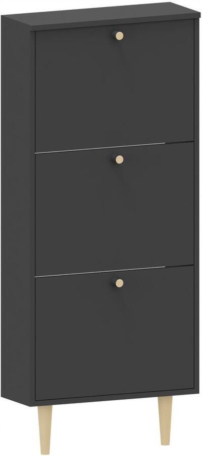 Matkam Schoenenkast BEHAMO 530 zwart UFC