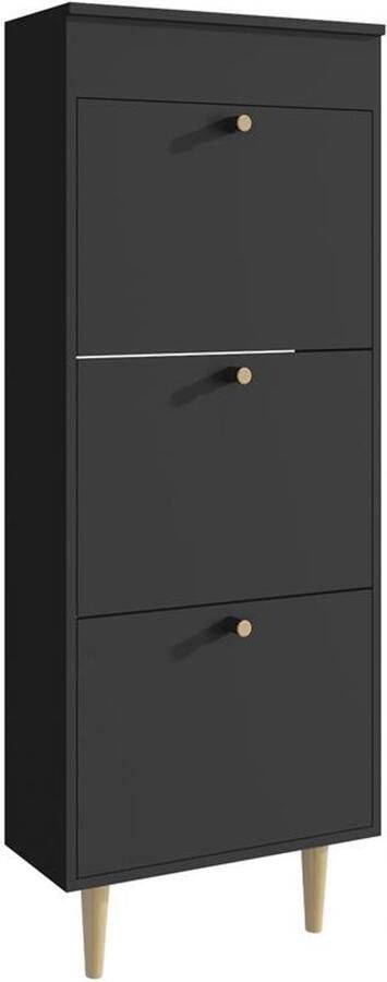 Matkam Schoenenkast BEHAMO 531 zwart met opbergruimte