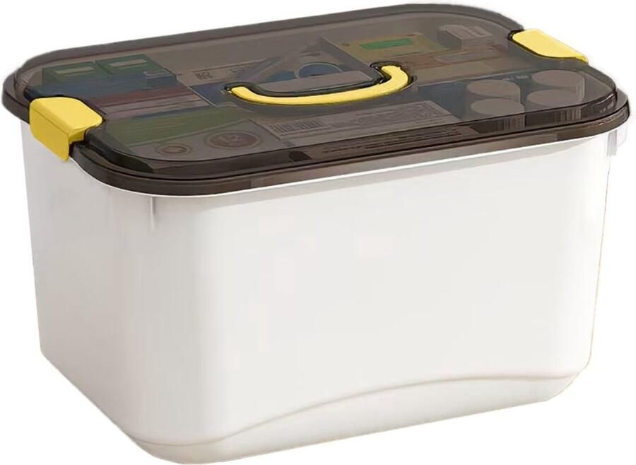 Medicijnbox met 2 Vakken Veilig en Draagbaar 1 stuk PP-materiaal