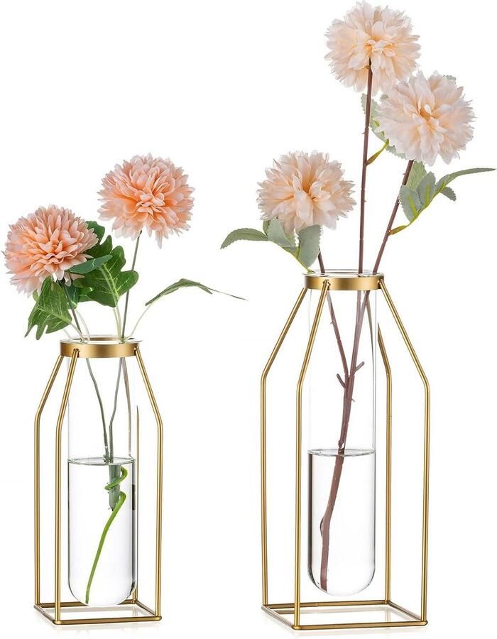 Moderne Metalen Draad Bloemenvaas Gouden Frame Vaas met Glazen Proefbuisjes 195 245cm Knopvaas voor Salontafel Woonkamer Abstracte Geometrische Kunstvaas voor Roos Hydroponische Plant