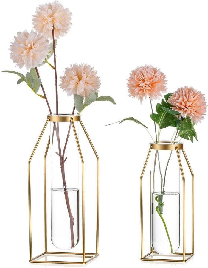 Metalen Draad Bloemenvaas Gouden Frame Vaas met Glazen Proefbuisjes 19 5 24 5cm Moderne Knopvaas voor Salontafel Woonkamer Abstracte Geometrische Kunstvaas voor Roos Hydroponische Plant