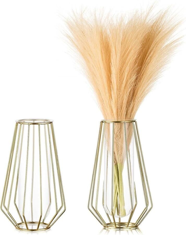 Metalen Frame Vaas Gouden Set van 2 Moderne Draad Vazen Geometrische Diamant Kunstvaas Glazen Proefbakjes Plant Decoratie Kleine Bloemenvaas Eettafel Woonkamer Badkamer Kantoor