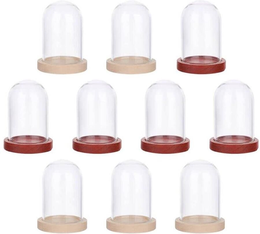 Mini Glazen Koepelbel voor Decoratie Transparante Vitrine voor Bloemen en Specimens