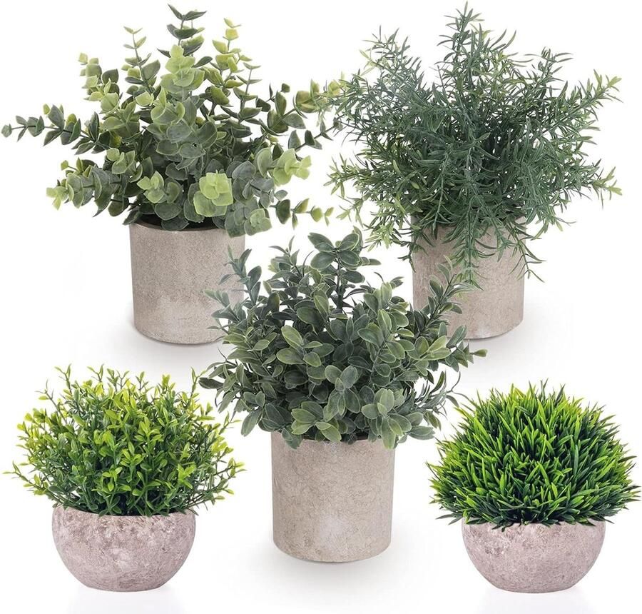 Mini-kunstplanten in pot Set van 5 nep eucalyptus rozemarijn decoratieve grasplanten groen kunststof voor huis kantoor balkon bureau badkamerdecoratie