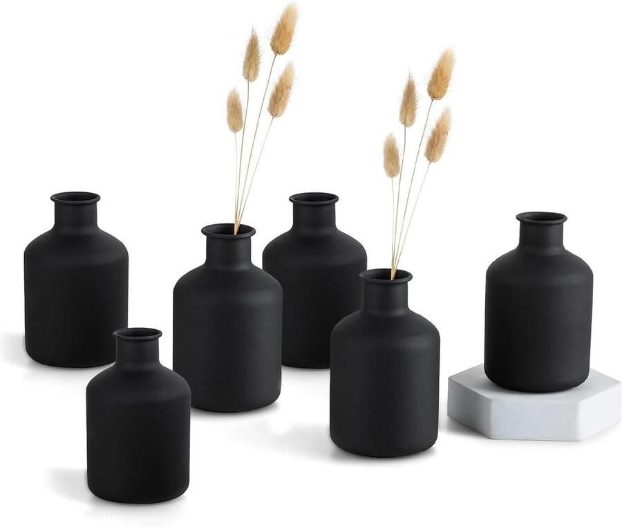 Mini Metalen Vaas Set van 6 Moderne Matte Vaas voor Kunstmatige Gedroogde Bloemen Decoratieve Cilindervazen voor Woonkamer Eettafel Slaapkamer