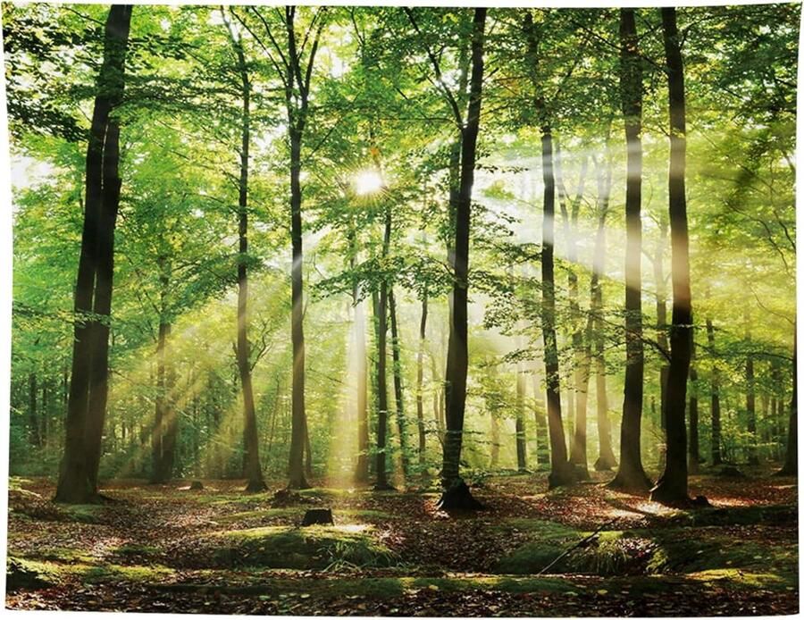 Mistig bos wandtapijt Natuurdecoratie 150 cm x 200 cm Polyester