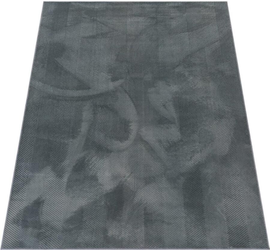 Modern korte paaldeken-elegant ontwerp-duurzaam gemakkelijk opruimt loopbevestigend