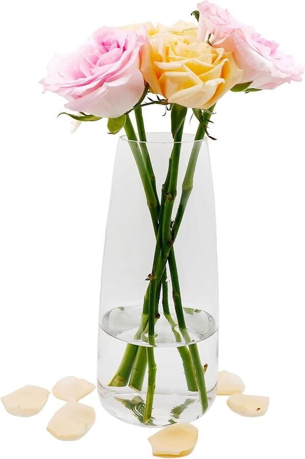 Glazen bloemenvaas moderne helder glazen vaas 22 CM hoge glazen vaas voor tafel decoratie decoratieve vazen voor pampas gras tulpen orchideeën transparant