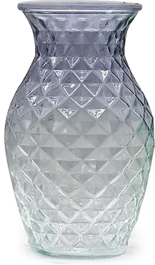 Moderne Glazen Vaas voor Bloemen Decoratieve Vaas voor Woonkamer en Tafel