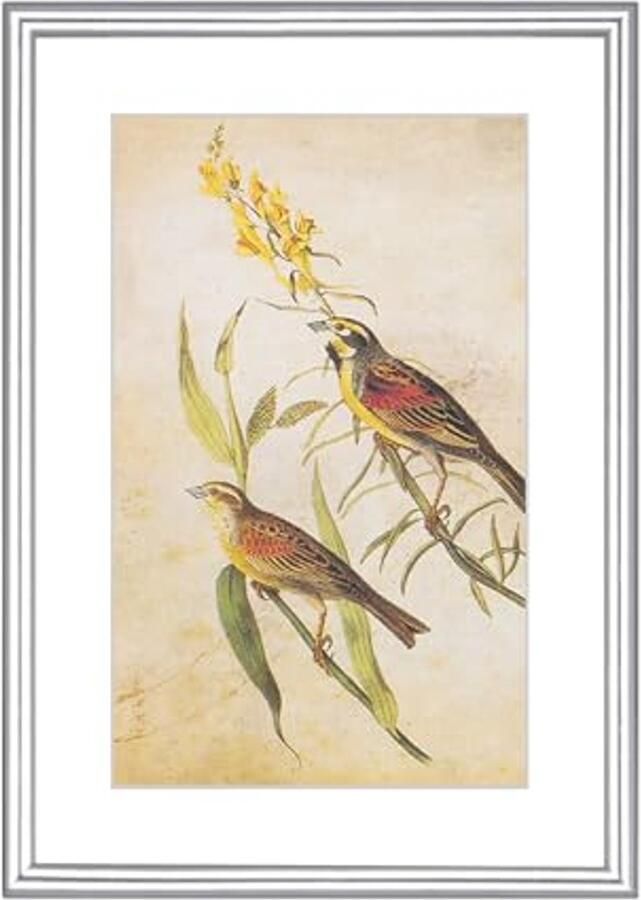 Moderne Matzilveren Fotolijst 4x6 Dunne Aluminium Metalen Fotolijst voor Tafel- en Wandmontage