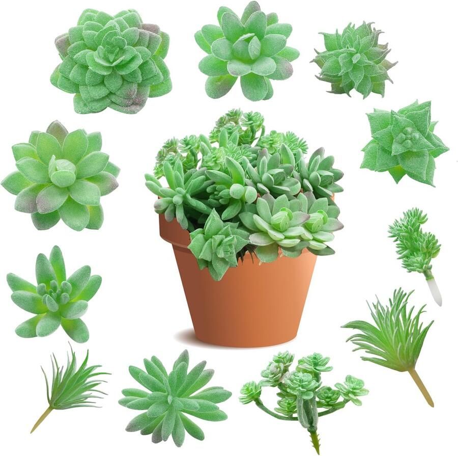 Molyorch 11 stuks kunstmatige vetplanten zonder pot mini nep groene plant plastic vetplant zonder pot voor eettafel kantoor doe-het-zelf microlandschap