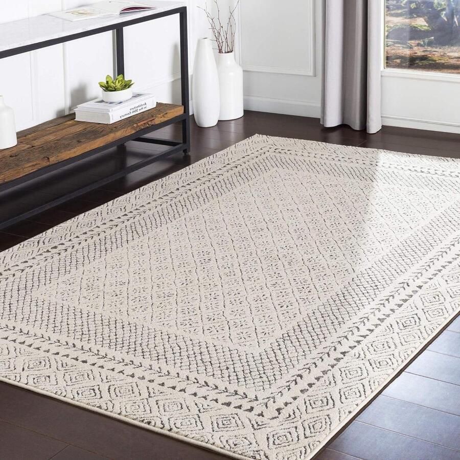 Monaco Geometrisch tapijt Scandinavische stijl Azteeks abstract patroon boho tapijt onderhoudsvriendelijk groot vloerkleed 160 x 220