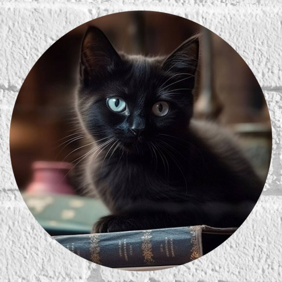 Muursticker Cirkel Kitten Dier Tafel Boeken Zwart 20x20 cm Foto op Muursticker